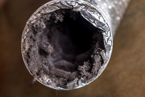 Best Air Duct Inspection Services in Clemson, SC